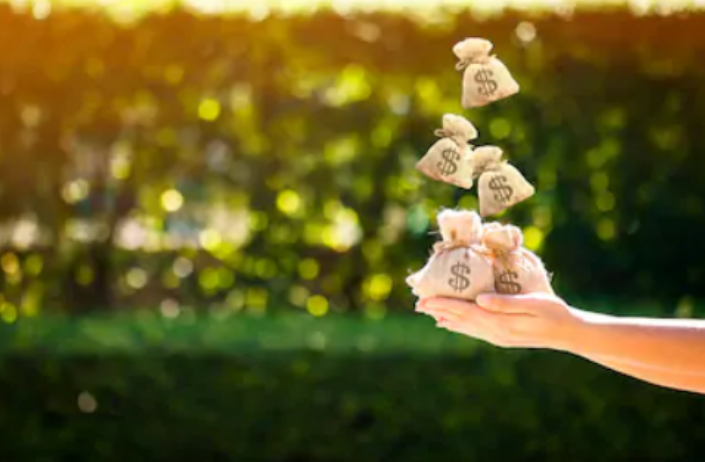 More building, less billing: Where to splurge, where to save